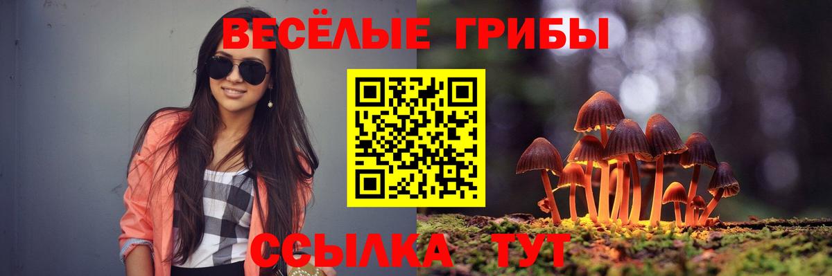 Галлюциногенные грибы прущие грибы Железногорск