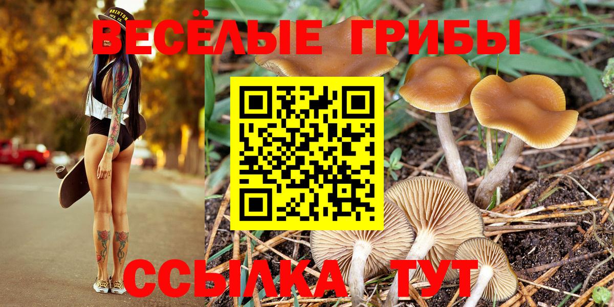 Псилоцибиновые грибы GOLDEN TEACHER  Вход с VPN  где продают   Железногорск 